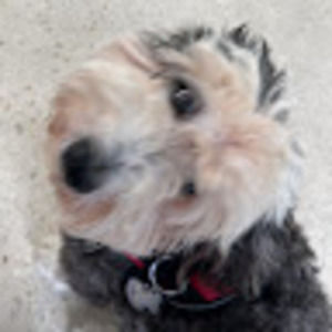 Meet your Posher, Teresa